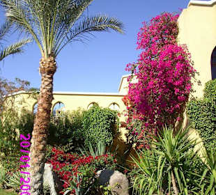 Makadi Center