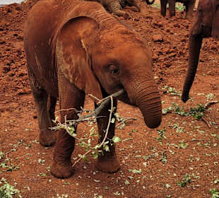 Unglaublich und herzerwärmend