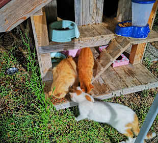 Strandpromenade Evrenseki