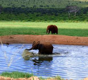 Tsavo East Wasserloch Voi Lodge