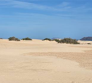 Naturpark Dünen von Corralejo