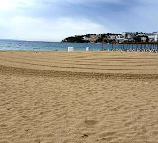 Strand Palma Nova