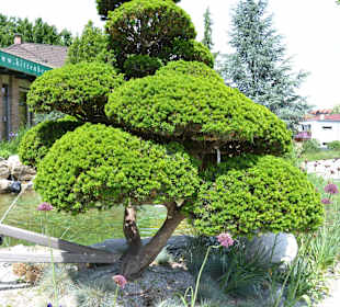 Kittenberger Erlebnisgärten