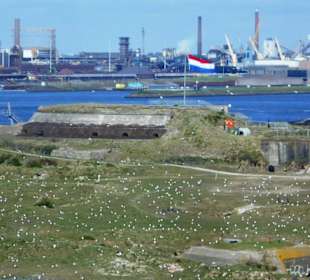 Forteiland IJmuiden