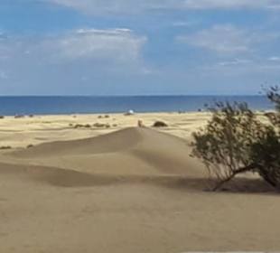 Dünen von Maspalomas