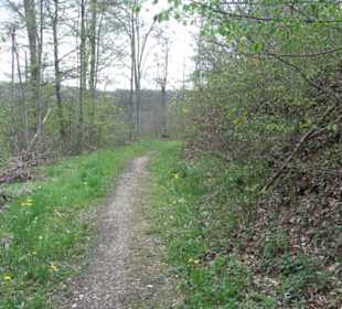 Premiumwanderweg Hochgebürzelt