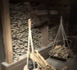 Hanselabor - Burgkloster