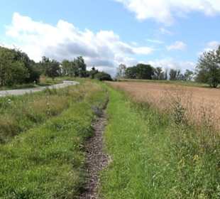 Naturschutzgebiet Zollerhalde Zimmern