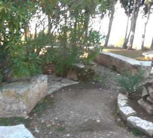 Garten "Turm der Araber"