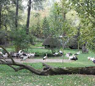 Zoo Warszawa