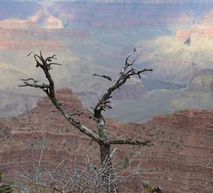 Widok ze ścieżki widokowej