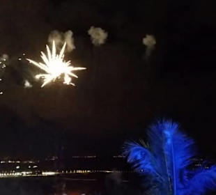 Carnaval Ende: Verbrennung der Sardina