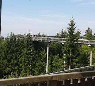 Waldwipfelweg St Englmar/Maibrunn