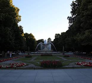 Ogród w parku saskim