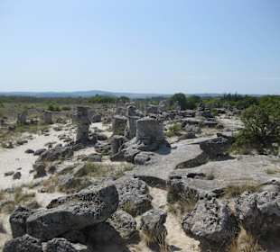 Steinwaldgelände irgendwo in der nähe von Varna