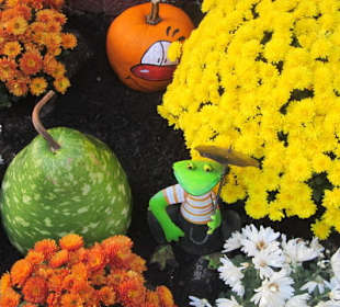 Chrysanthema Lahr