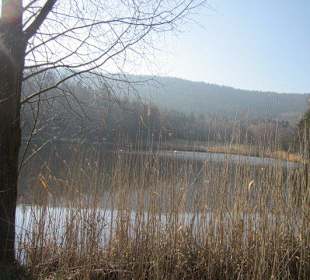 Der wunderschöne Sandwiesenweiher
