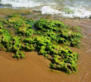 Vom Sunrise Richtung Side am Strand