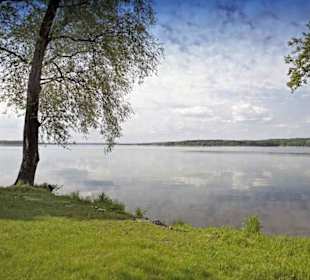 Scharmützelsee Ostufer