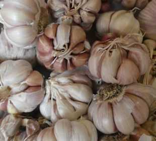 Unterwegs auf dem schönen Markt von Santa Cruz