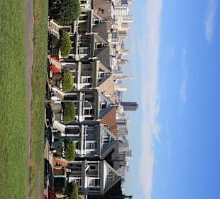 Painted Ladies