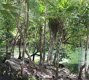 Cenote