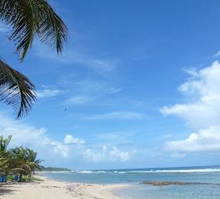 Strand Carolina Punta Maldorado 