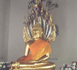 Buddha