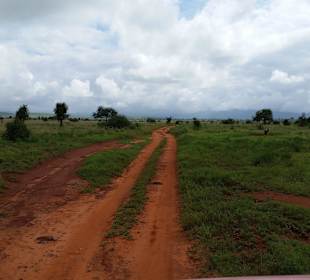 Sarova Salt Lick Game Lodge