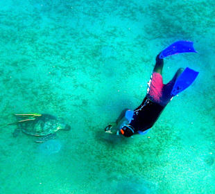 Schnell ein Schnappschuß