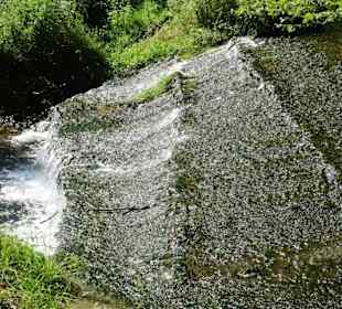 Wanderung durch die Kleine Luxemburger Schweiz