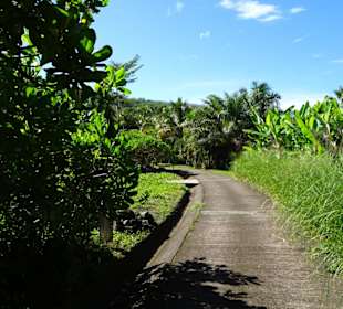 Spaziergang durch den Botanischen Garten Mascarin