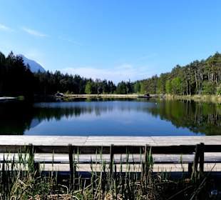 Abwechslungsreicher Weg