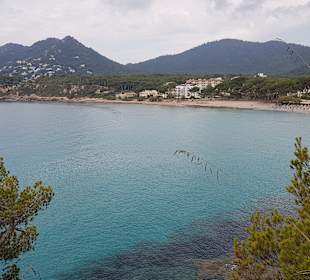 Höhlen von Arta/Cuevas de Artá