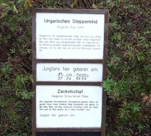Tierpark 