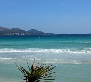 Strand Alcudia