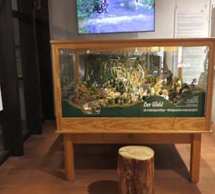 Schüttesäge-Museum