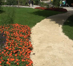 Blühendes Neresheim 2021