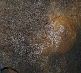 Erzgruben-Erlebniswelt Theresien-Grube Muschel