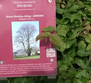 Benediktinerabtei Stift Neuburg