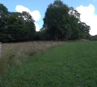 Burgruine Blankenstein