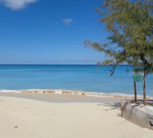 Im Bereich des National Parks