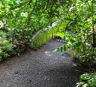 Impressionen vom Jardin des Parfums et des Epices