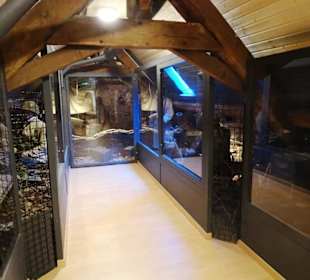 Rundgang durch die Museumsräume