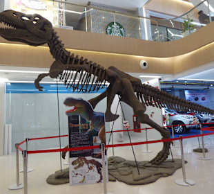 Dino-Ausstellung im Untergeschoss