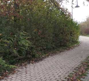 Evangelische Auferstehungskirche 