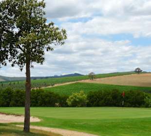 Blick in die Weinberge hinter Grün 16