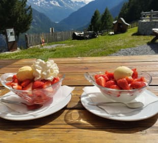 Gastro