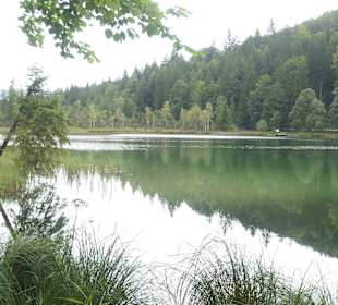 Der Frillensee bei Inzell