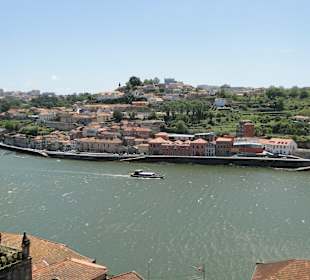 Visita Oporto